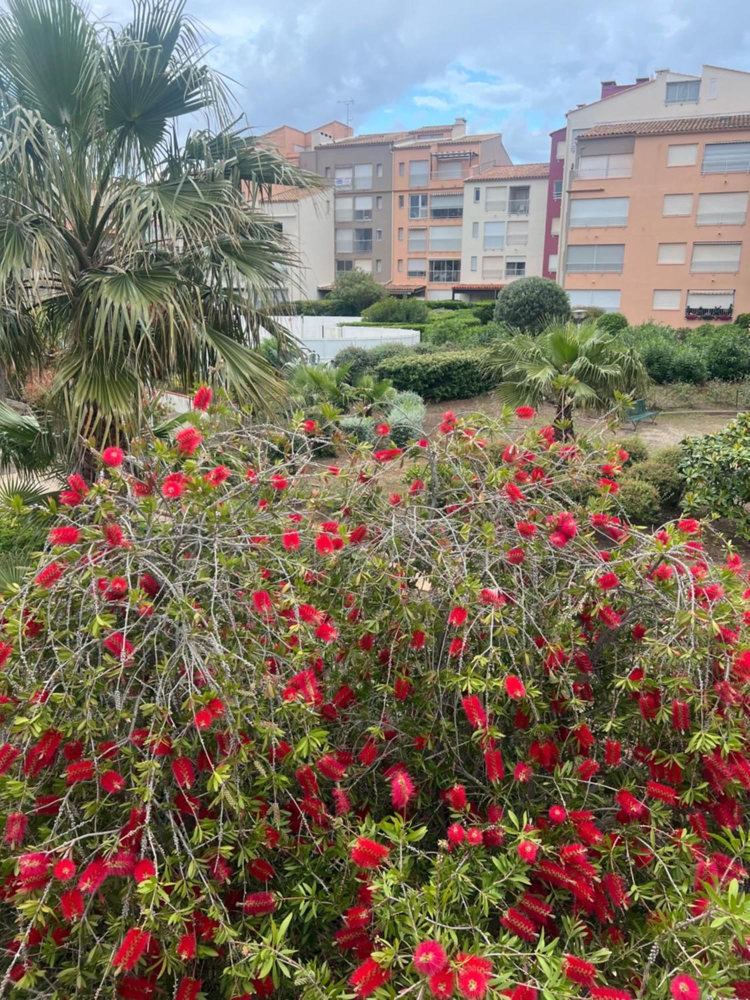 Residence Le Pharo Agde Exterior foto